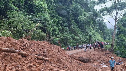 Longsor parah menyebabkan lebih dari 800 rumah tangga di wilayah pegunungan Nghe An terisolasi.