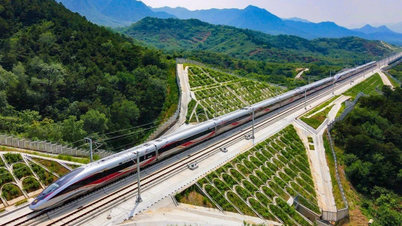 Usulan investasi segera di jalur kereta api cepat Vinh-Nha Trang