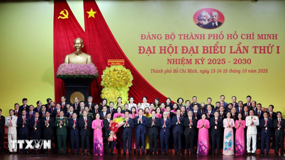Ho Chi Minh City sets out 30 development targets and 3 key, breakthrough programs.