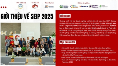 Apoyar a las empresas sociales vietnamitas para innovar y llegar al mercado.
