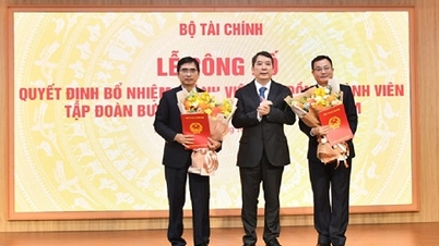 Bổ nhiệm Thành viên Hội đồng Thành viên Tập đoàn VNPT