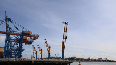 Desarrollar sincrónicamente el puerto de Cai Mep – Thi Vai y el puerto de tránsito internacional de Can Gio, hacia una red logística internacional