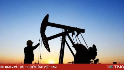Giá dầu thô rơi về đáy từ đầu tháng 5