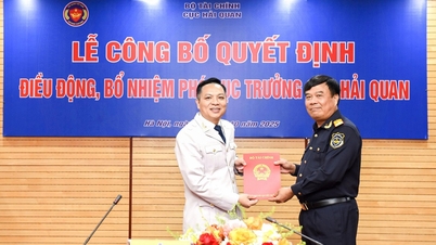 Nomination de M. Nguyen Thanh Hung au poste de directeur adjoint du département des douanes