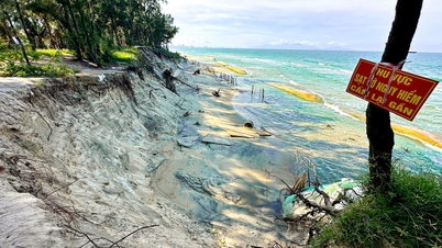 La erosión de las playas de Hoi An preocupa a muchas empresas
