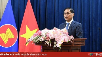 Der stellvertretende Premierminister Bui Thanh Son traf sich mit Beamten und Mitarbeitern der vietnamesischen Botschaft in der Russischen Föderation.