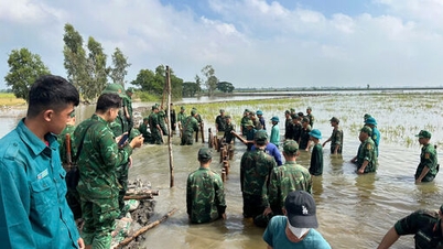 Tay Ninh: Se movilizan fuerzas para solucionar urgentemente el incidente de la rotura del dique