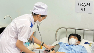 A Cidade de Ho Chi Minh planeja otimizar o sistema universitário, de faculdades e de escolas de ensino médio para torná-lo mais ágil e eficiente.