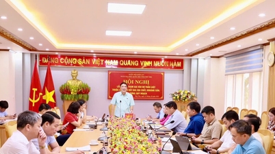 Die Delegation der Nationalversammlung der Provinz Phu Tho sammelte Meinungen zu Gesetzesentwürfen und Resolutionen, die der 10. Sitzung vorgelegt wurden.