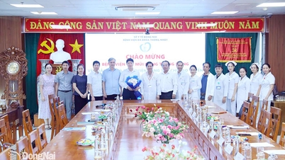 Central Ear, Nose and Throat Hospital working at Thong Nhat General Hospital
