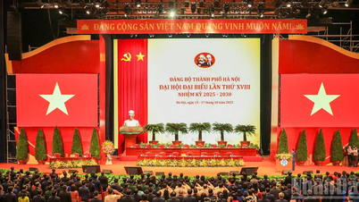 [Foto] Kongres Partai Hanoi ke-18 mengadakan sesi persiapan.