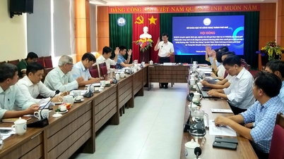 Developing commercial rabbitfish farming areas associated with the brand "Tam Giang Rabbitfish"