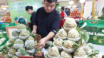 Die Vietnam Agricultural Products Week 2025 und die Einführung der Digital Agricultural Products Map stehen kurz bevor
