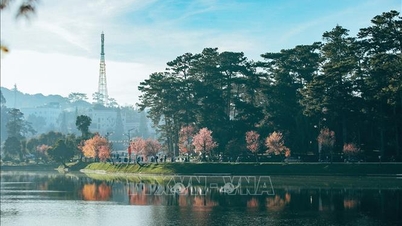 Desenvolver um plano para estabelecer marcadores e limites para o ponto turístico nacional Lago Xuan Huong