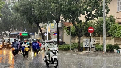 Attention aux fortes pluies, aux éclairs et à la grêle dans la région du Nord-Est, dans les provinces de Hanoi et de Thanh Hoa-Ha Tinh.