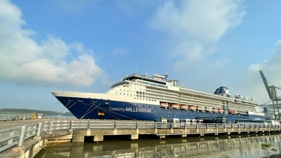 Les entreprises sont en feu lorsque les ports d'Ho Chi Minh-Ville cessent d'accueillir les touristes des navires de croisière.