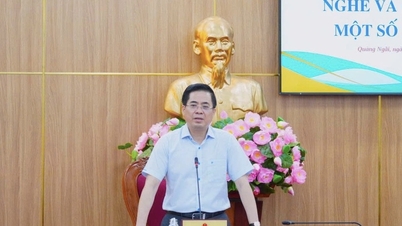 Quang Ngai iniciou a construção de 4 escolas de fronteira no valor de mais de 600 bilhões de VND em novembro.