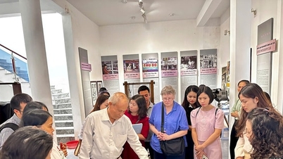 美術館における写真の保存・展示能力の向上