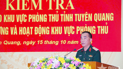 Inspektion des Baus und Betriebs der Verteidigungszone der Provinz Tuyen Quang im Jahr 2025
