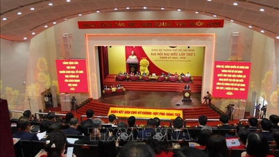 ร่างรายงานสรุป 15 ปี การปฏิบัติตามกฎบัตรพรรค