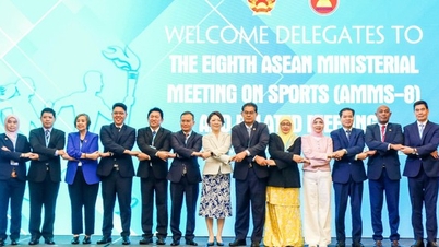 第8回SOMS+Japan会議：2030年に向けたASEANと日本のスポーツ協力の強化と深化