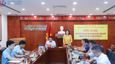 Đoàn ĐBQH tỉnh Quảng Ninh lấy ý kiến tham gia các dự án luật, nghị quyết lĩnh vực khoa học, công nghệ