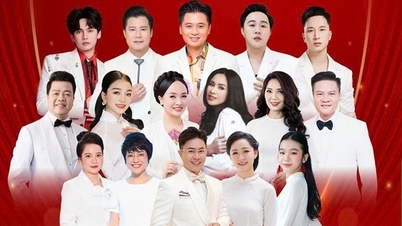 Organized 2 art programs at Hoan Kiem Theater, raising funds to support people affected by natural disasters