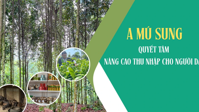 A Mú Sung quyết tâm nâng cao thu nhập cho người dân