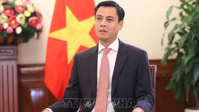 ການ​ເລືອກ​ຕັ້ງ​ຄືນ​ໃໝ່​ຂອງ​ຫວຽດນາມ​ເຂົ້າ​ເປັນ​ສະພາ​ສິດທິ​ມະນຸດ ສປຊ ​ແມ່ນ​ການ​ຮັບ​ຮູ້​ສູງ​ສຸດ​ຂອງ​ປະຊາ​ຄົມ​ໂລກ.