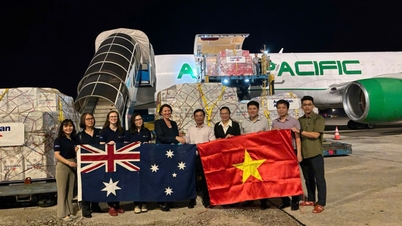 Noodhulp uit Australië ontvangen voor de mensen in Bac Ninh