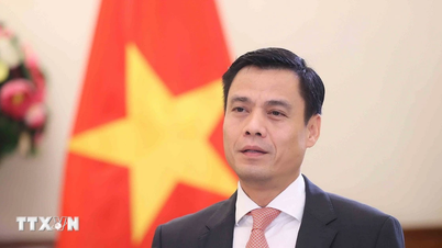 Vietnam erneut in den Menschenrechtsrat gewählt: Höchste Anerkennung der internationalen Gemeinschaft