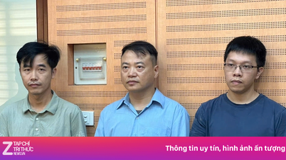 Đằng sau thủ đoạn rút tiền của nhà đầu tư trong vụ Shark Bình