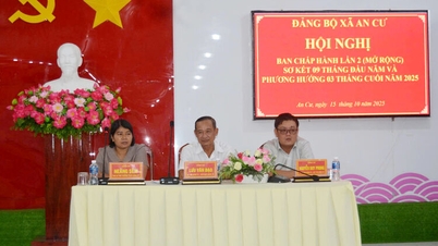 An Cu Commune Party Executive Committee Conference