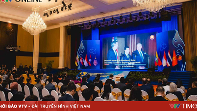 Vietname propõe nova iniciativa em resposta a desastres na região da ASEAN
