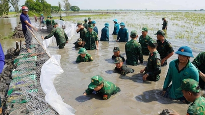 Überschwemmungen durchbrachen den Deich in Dong Thap Muoi. Soldaten aus Tay Ninh unterstützten die Menschen dabei, den Deich zu verstärken, um die Reisfelder zu schützen.
