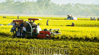 الترحيب بالمؤتمر الأول لمندوبي جمعية مزارعي بلدية تان دينه، الفترة 2025-2030: التطلع إلى تطوير وطن مزدهر
