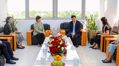 선전 기업, 하이퐁 투자 기회 모색