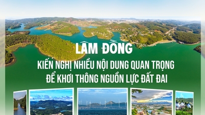 Lam Dong propõe muitos conteúdos importantes para desbloquear recursos terrestres