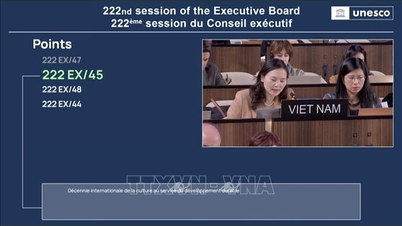UNESCO thông qua sáng kiến của Việt Nam về 'Thập kỷ quốc tế về Văn hóa vì phát triển bền vững'