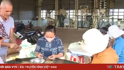 Gỡ vướng thuế VAT cho doanh nghiệp