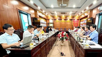 Chuyên viên cao cấp, Vụ Tổ chức phi chính phủ, Bộ Nội vụ làm việc với Sở Y tế tỉnh Lào Cai
