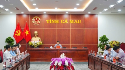 Removing difficulties and obstacles, speeding up the disbursement progress of foreign capital plan in 2025