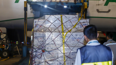 Đối tác quốc tế hỗ trợ người dân vùng bão lũ hơn 5,7 triệu USD