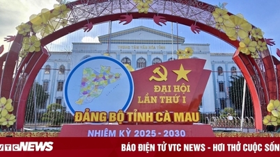 Membangkitkan aspirasi, Ca Mau bertekad menjadi pusat pertumbuhan wilayah tersebut