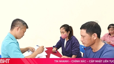 Ha Tinh paga mais de 87 bilhões de VND em benefícios de seguro-desemprego aos trabalhadores