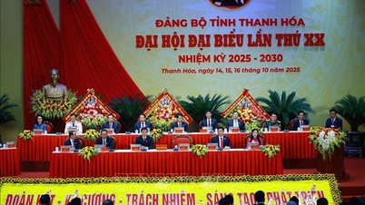 D’ici 2030, Thanh Hoa s’efforce de figurer parmi les provinces leaders du pays.