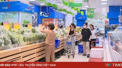 Aumentan la oferta de hortalizas y estabilizan los precios tras las inundaciones