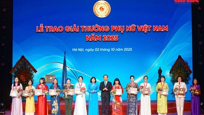 Artisan Nguyen Thi Hai : Faire revivre d'anciennes variétés de thé, faire découvrir aux autres le parfum du thé local