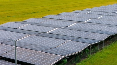 Tenaga surya pertanian - solusi untuk energi bersih dan penghidupan berkelanjutan
