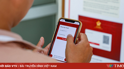 Certificados eletrônicos integrados em selos de inspeção e VneID estão chegando em breve